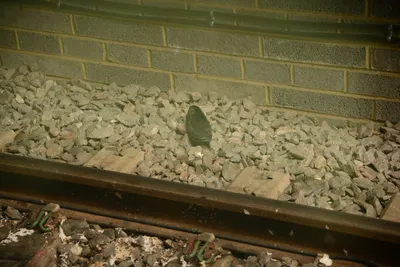 DSC_2518 (Large).JPG